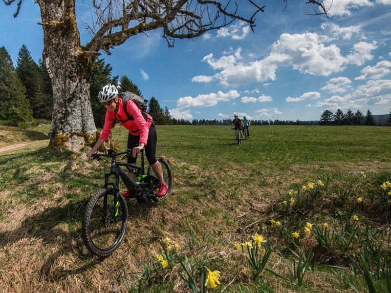 Sports Passion II - location de cycles