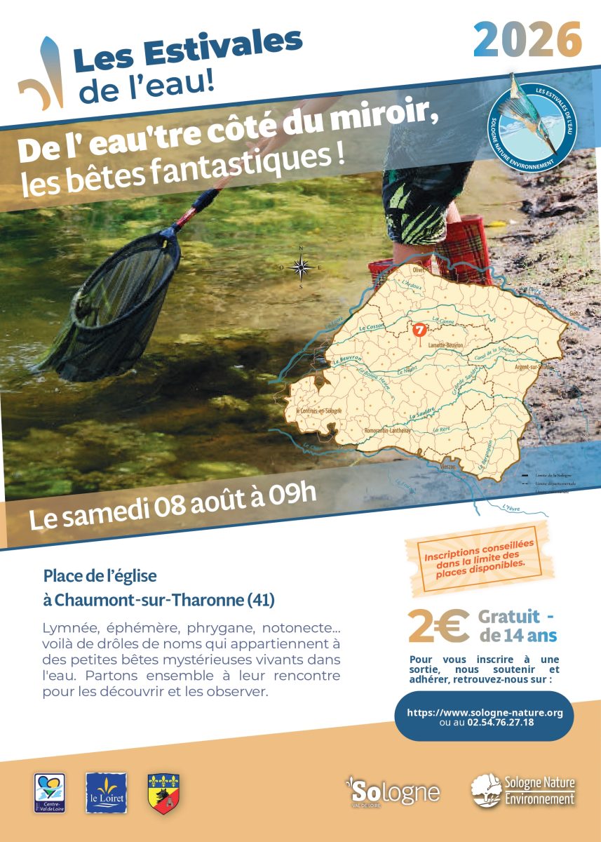 De l'eau'tre coté du miroir