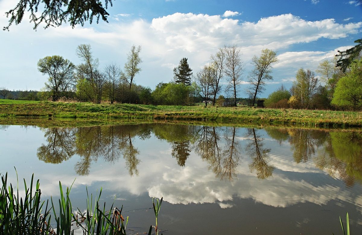 Plan d'Eau de la Brousse