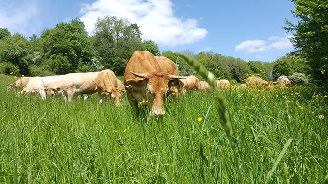 Ferme de Charchenay