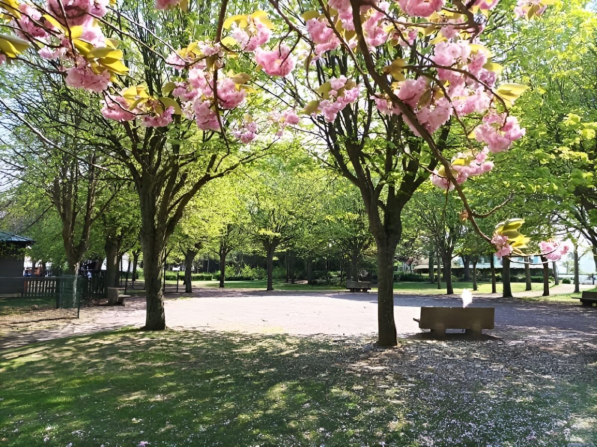 Aire de jeux - Parc Verdun