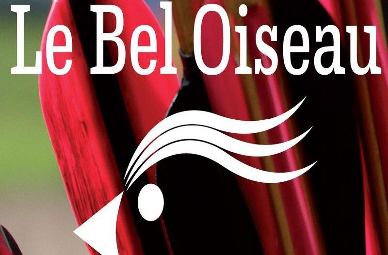 Le Bel Oiseau Tir à l'Arc sur cible 3D