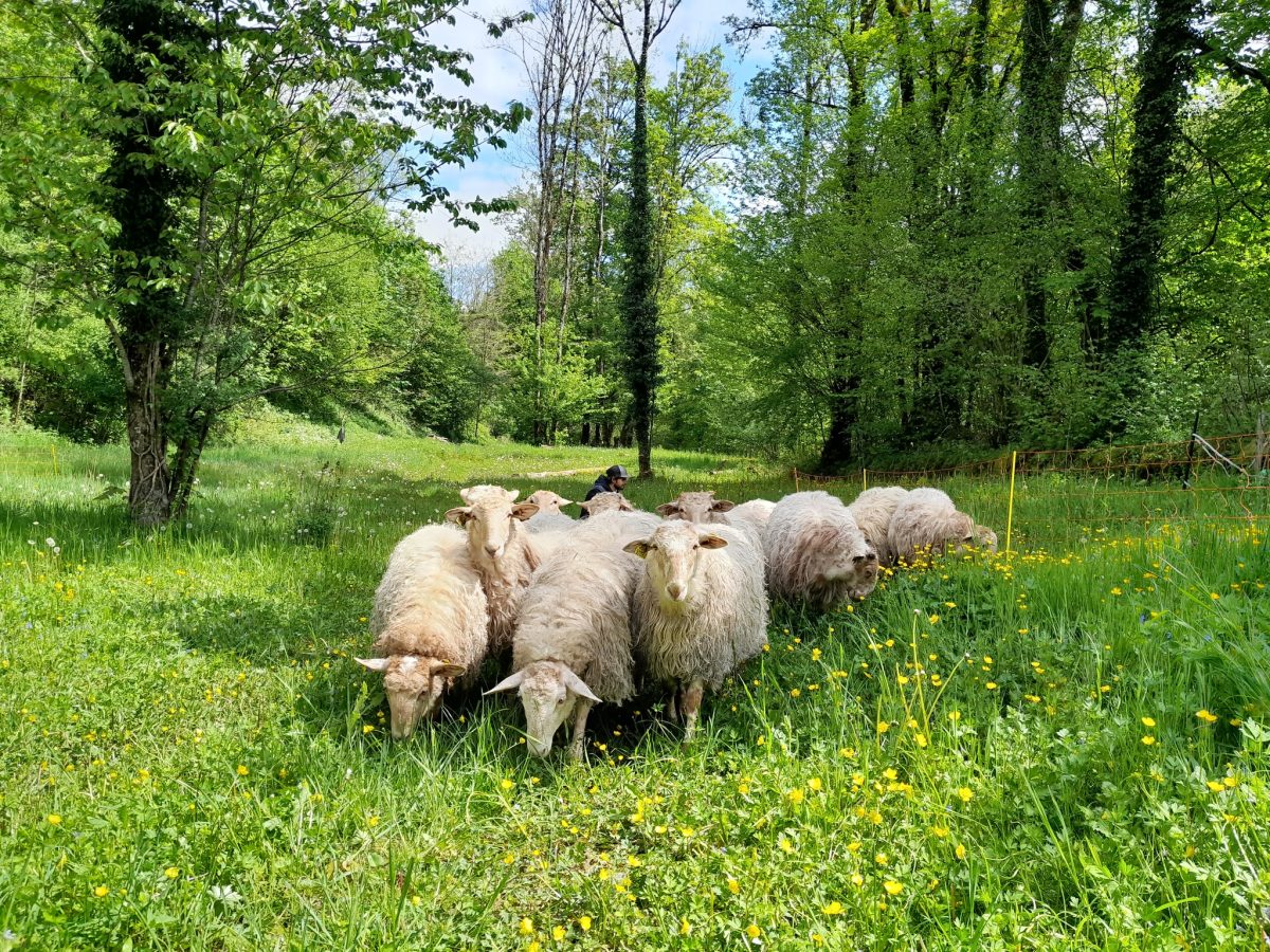 La Bergerie du Champ Devant