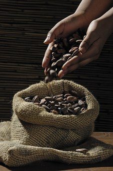 Chocolaterie Pons