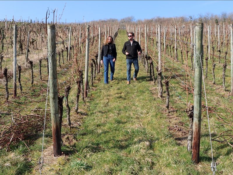 Domaine Florescence