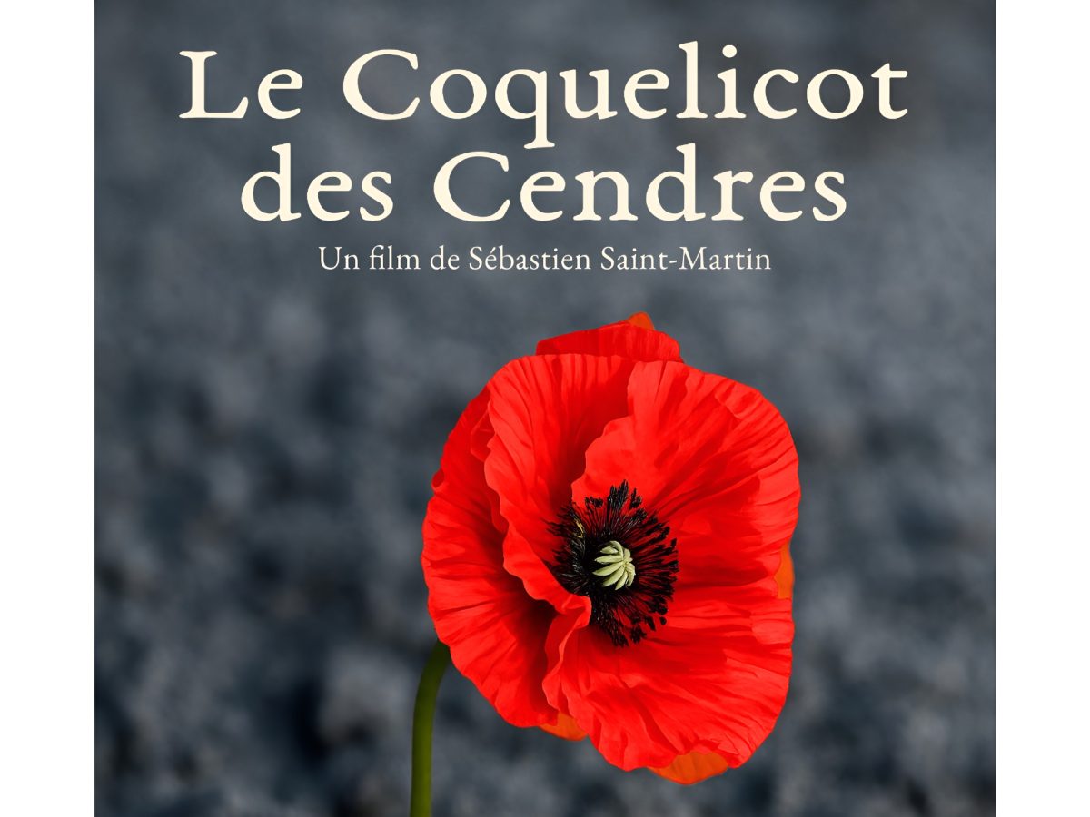 Les coquelicots de cendres