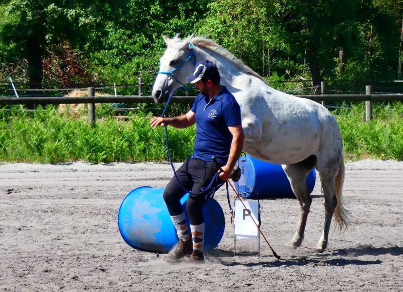 Centre Equestre du Domaine des Argentières
