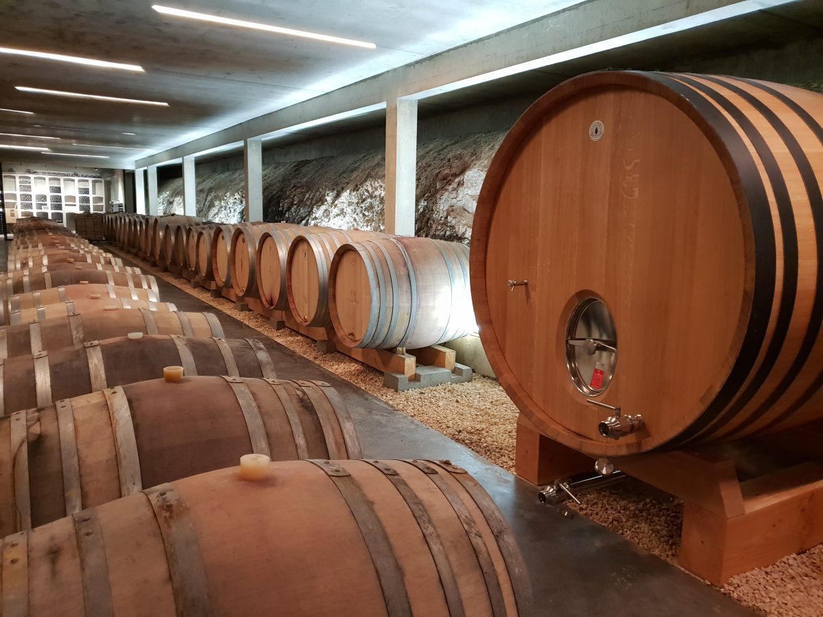 DOMAINE MODAT