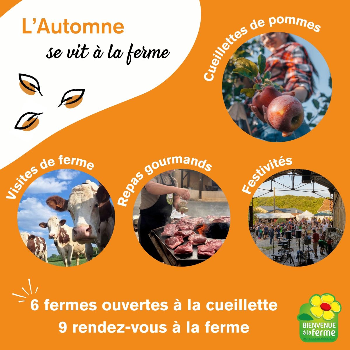 AUTOMNE A LA FERME