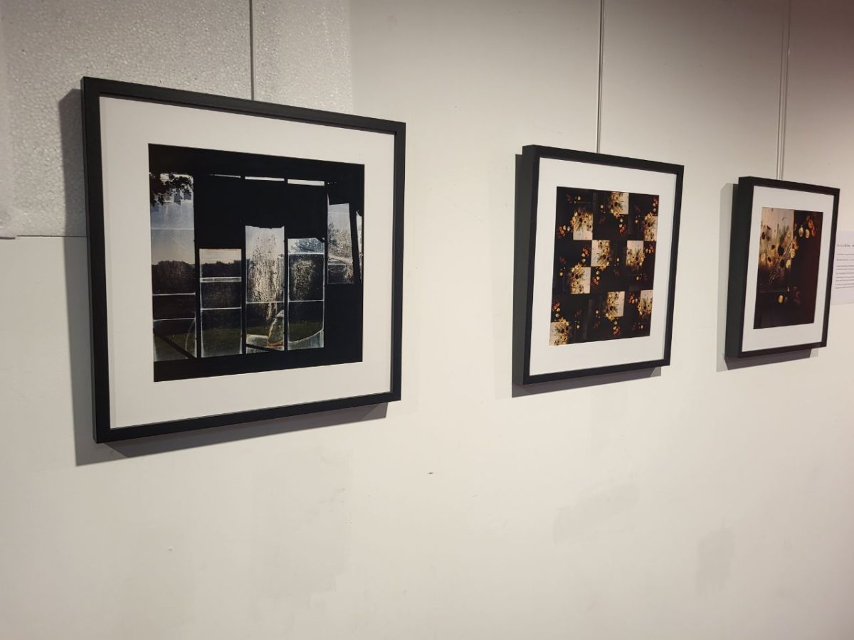 Exposition "Invisibles métamorphoses"