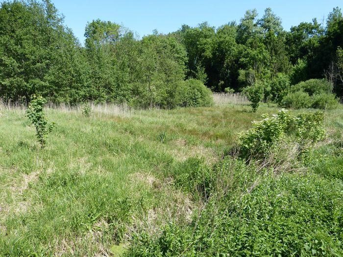 Visite du Marais de Maison Rouge