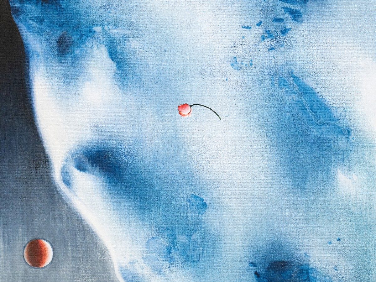 EXPOSITION : UNE ROSE, MILLE MONDES