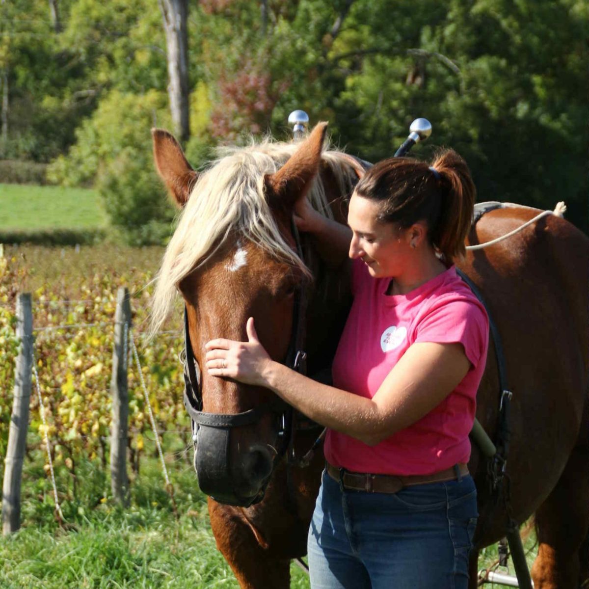 Domaine de L’Aubraine