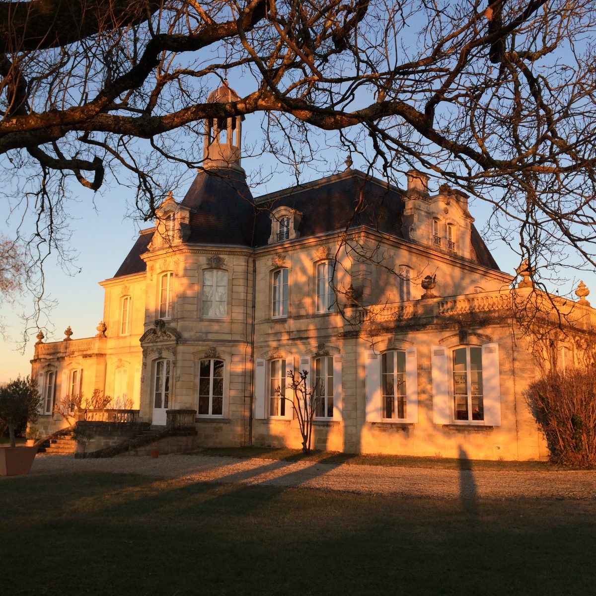 Vignobles Chanfreau - Châteaux Fonréaud et Lestage