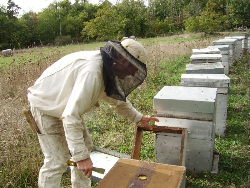 Apiculture Apyraine
