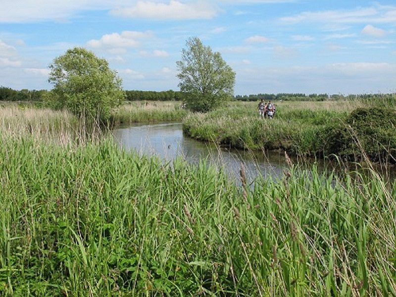 Randonnée dans les marais des Ponts d'Ouve - COMPLET