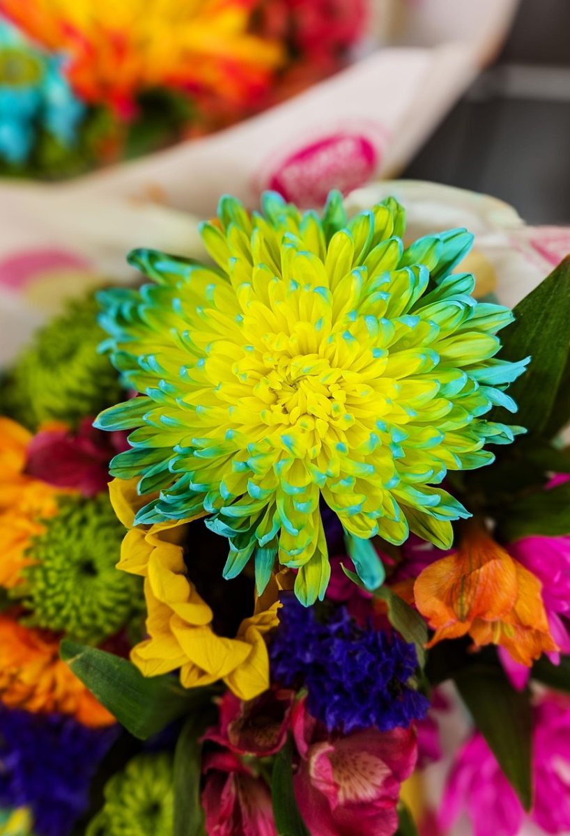 POÉTIQUE NATURE - ARTISAN FLEURISTE
