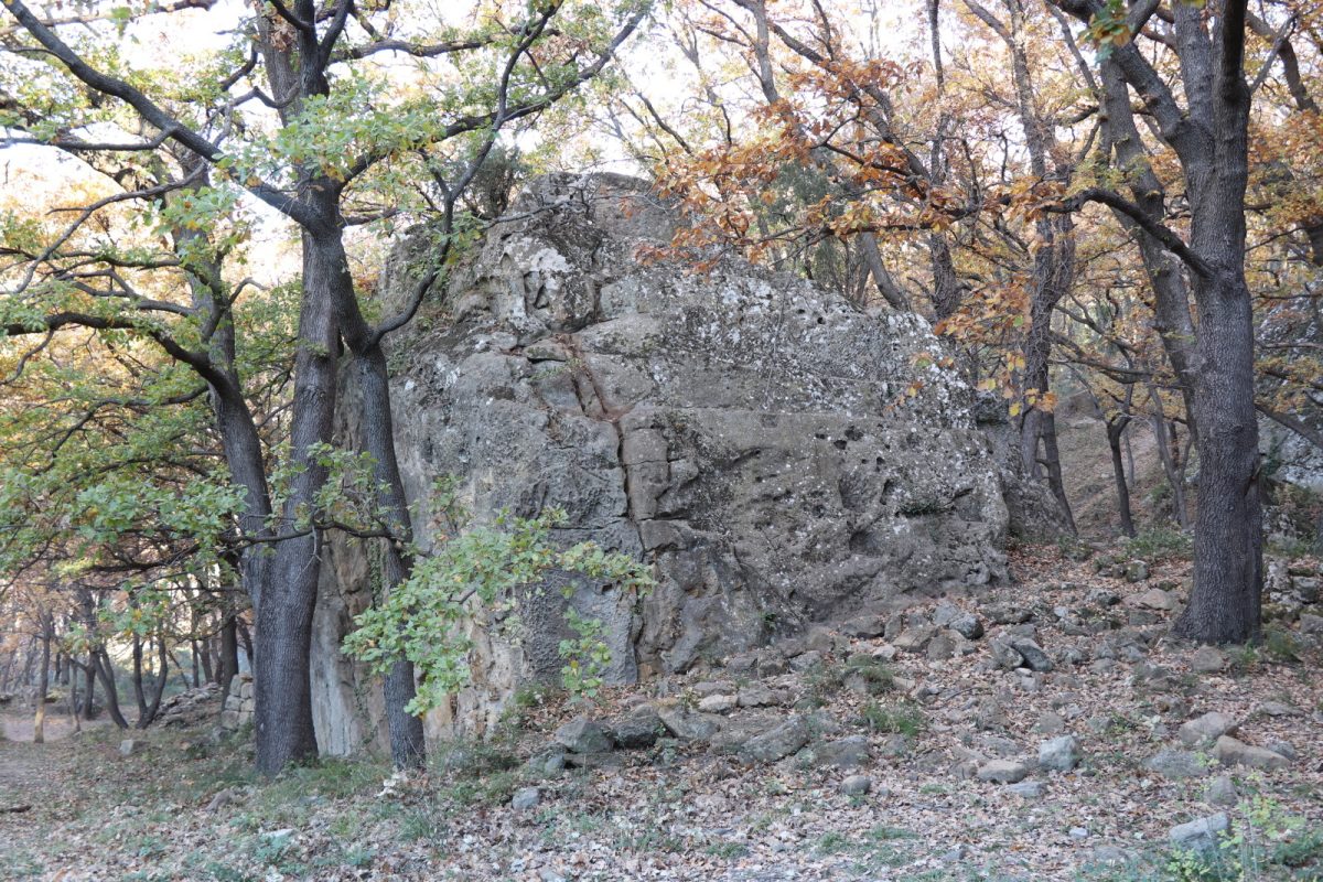 SITE D'ESCALADE DE BLOC - LES SALCES - LE ROCHER DES FÉES