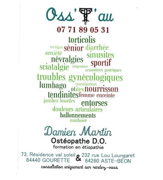 Monsieur Damien MARTIN