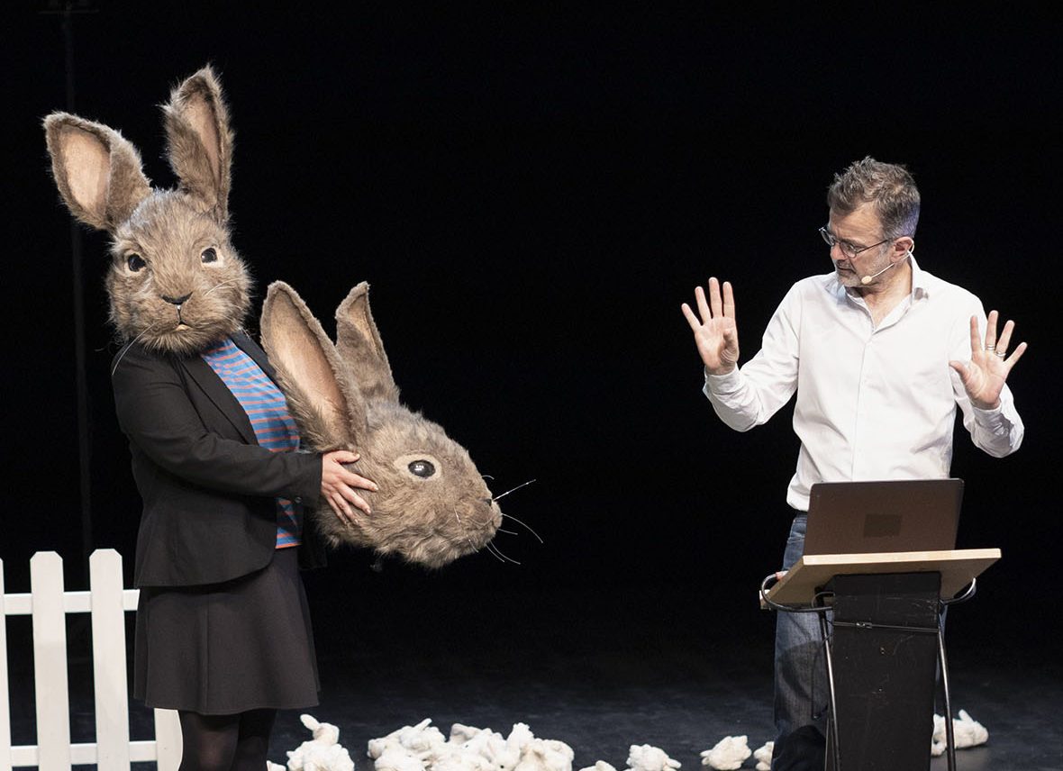 Festival contes givrés - Le problème lapin ; Cartographie 7
