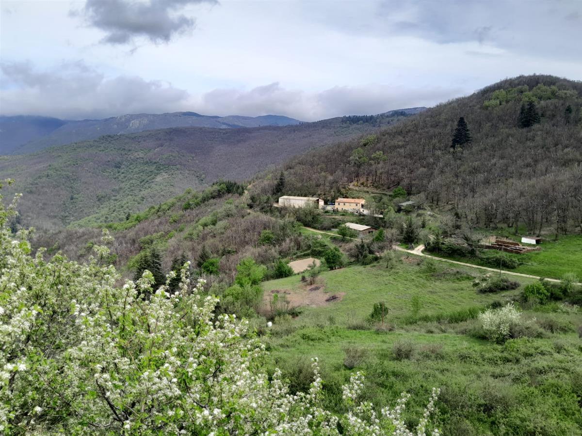 La Ferme d'Esparon
