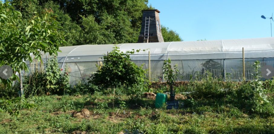 Jardin aux Orobanches