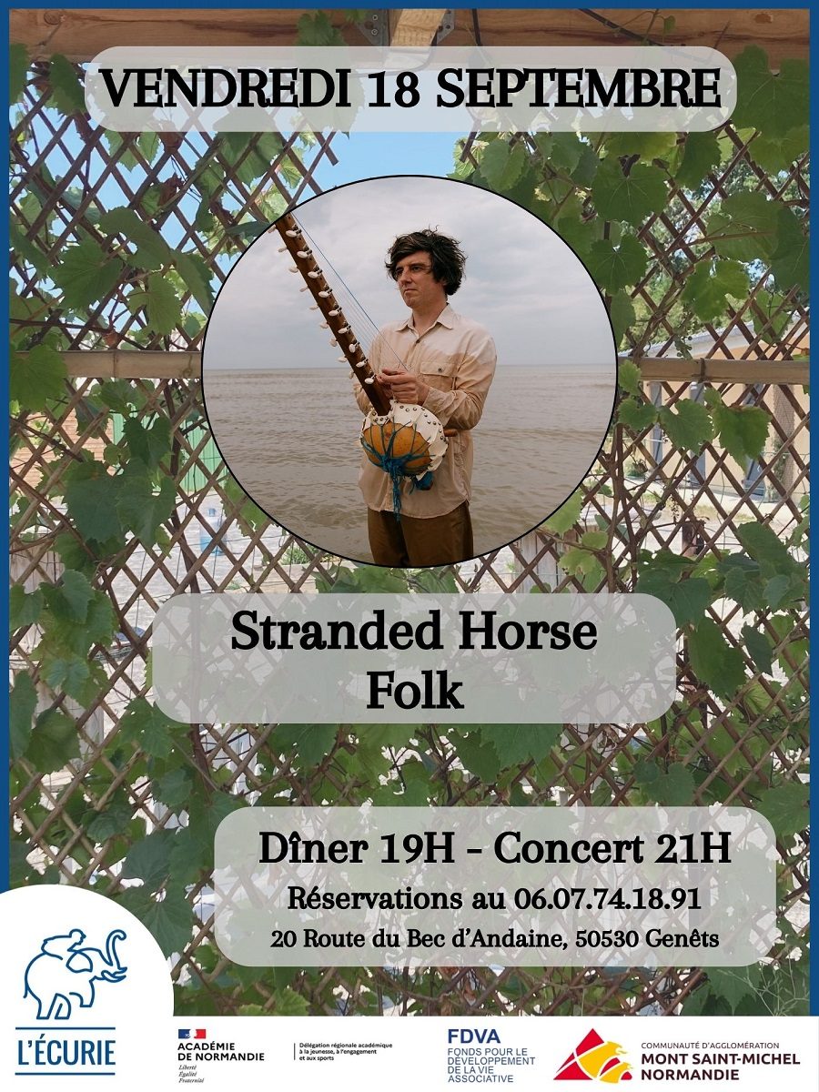 Concert "Stranded Horse"