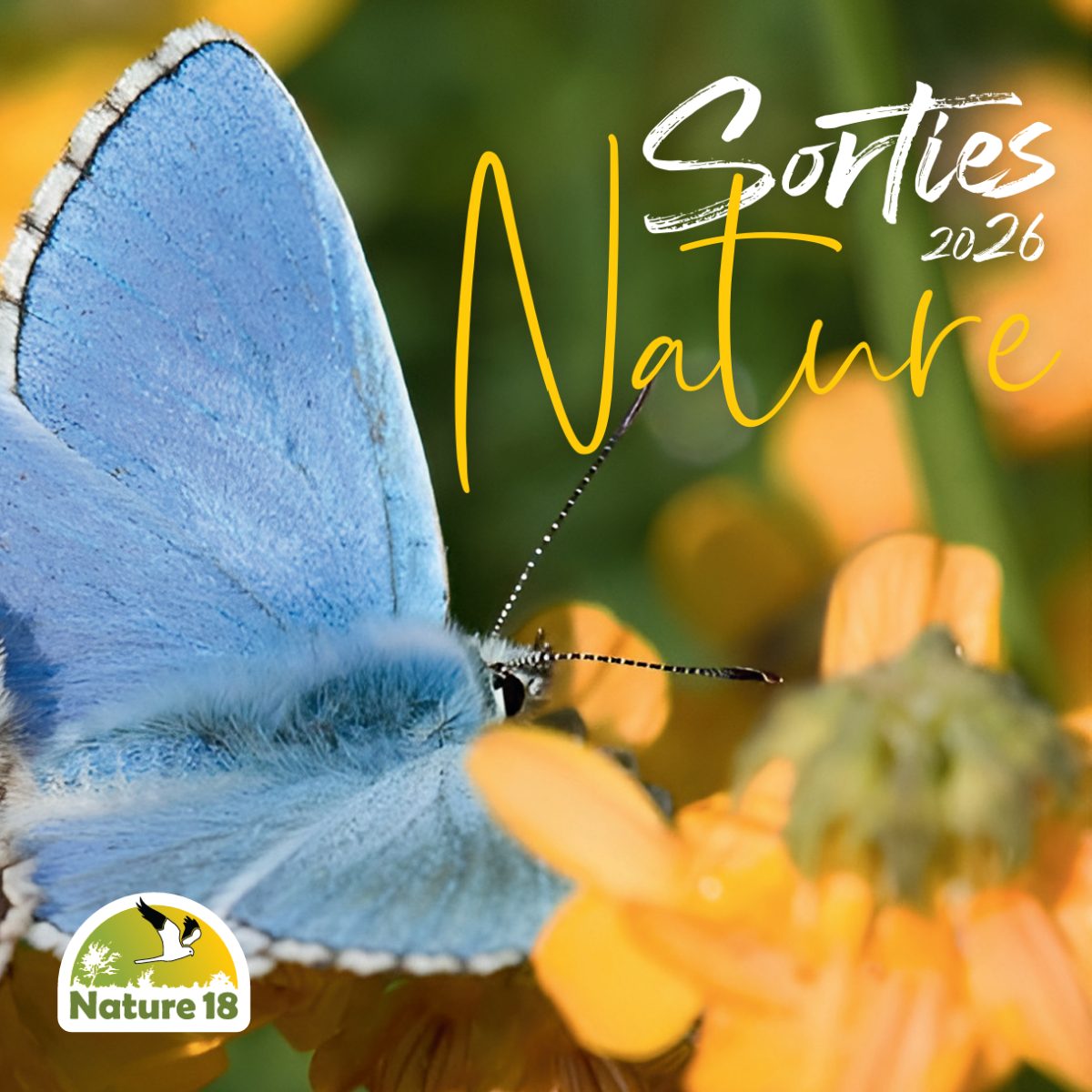 Sortie Nature : Les Libellules du Lac