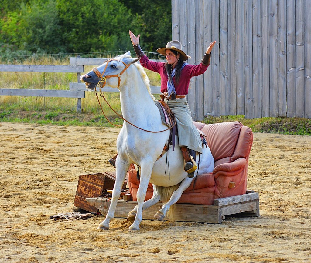 Far-West Story - Spectacle Equestre