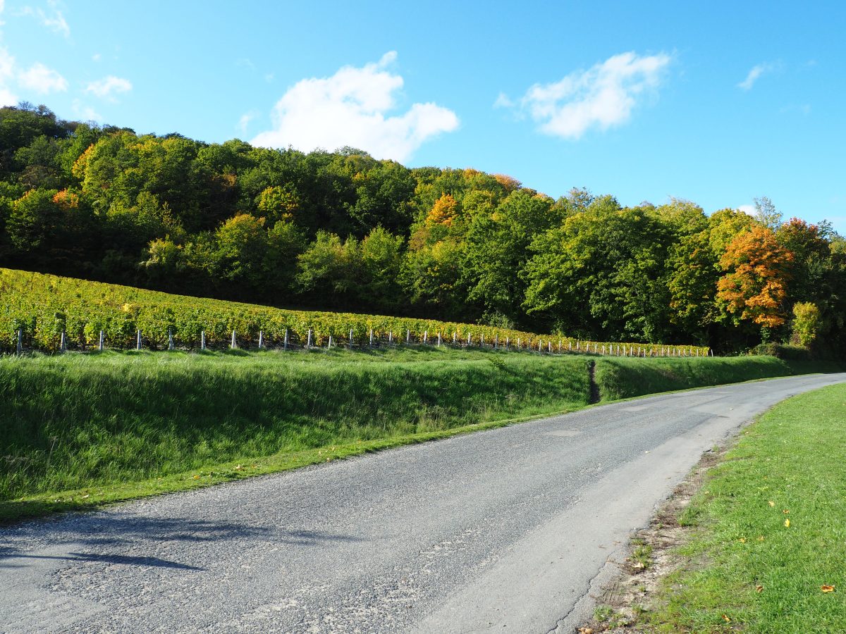 Domaine Doucet Vincent