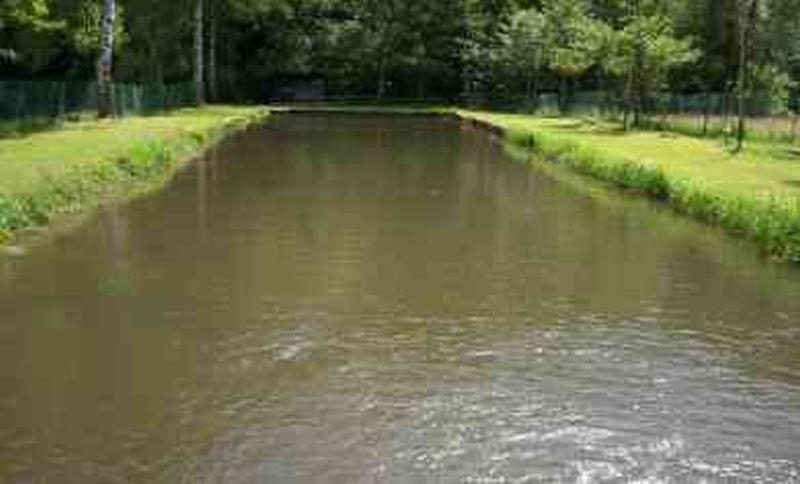 Etang de pêche de Lièpvre