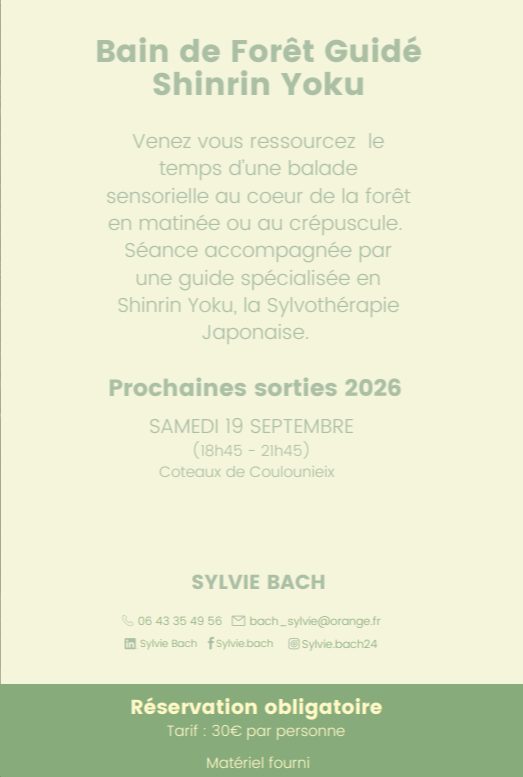 Bain de forêt guidé