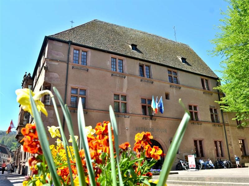 Journées du patrimoine - Salle du conseil de l'hôtel de ville