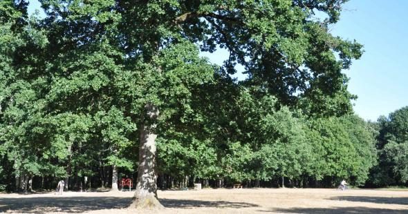 Les Bois de Saint-Pierre