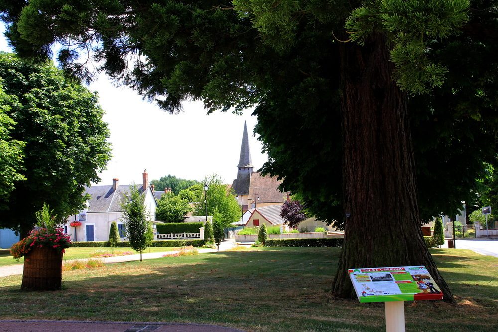 P'tit parcours de l’Instruction Civique Zulma Carraud