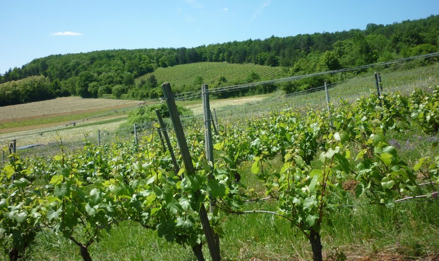 Domaine de Bel-Air