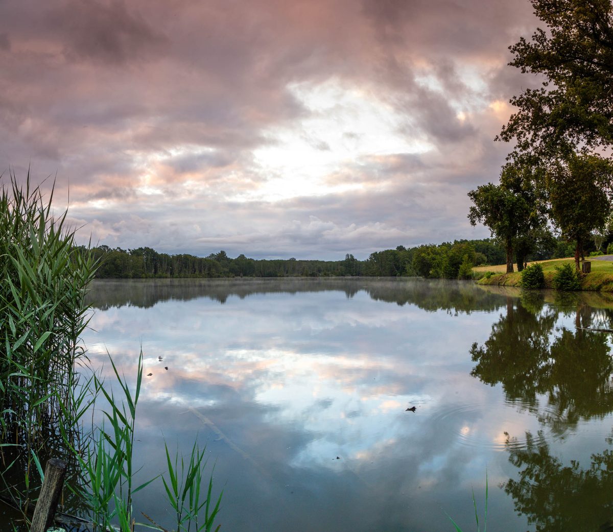 Grand Etang