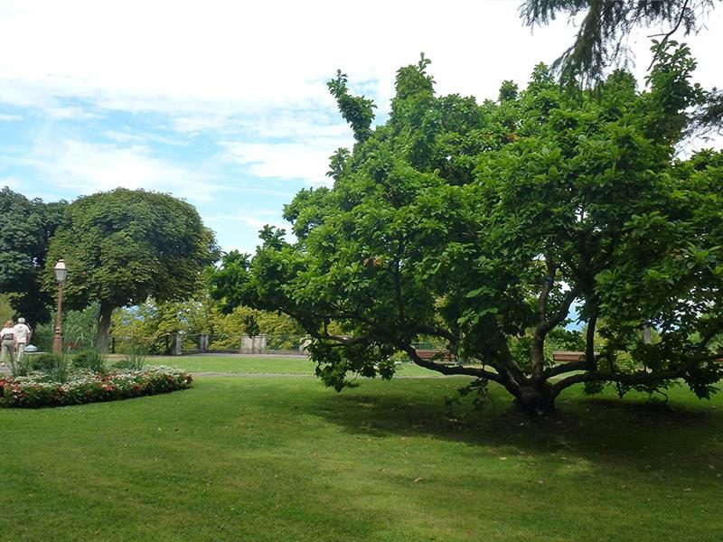 Square du réservoir