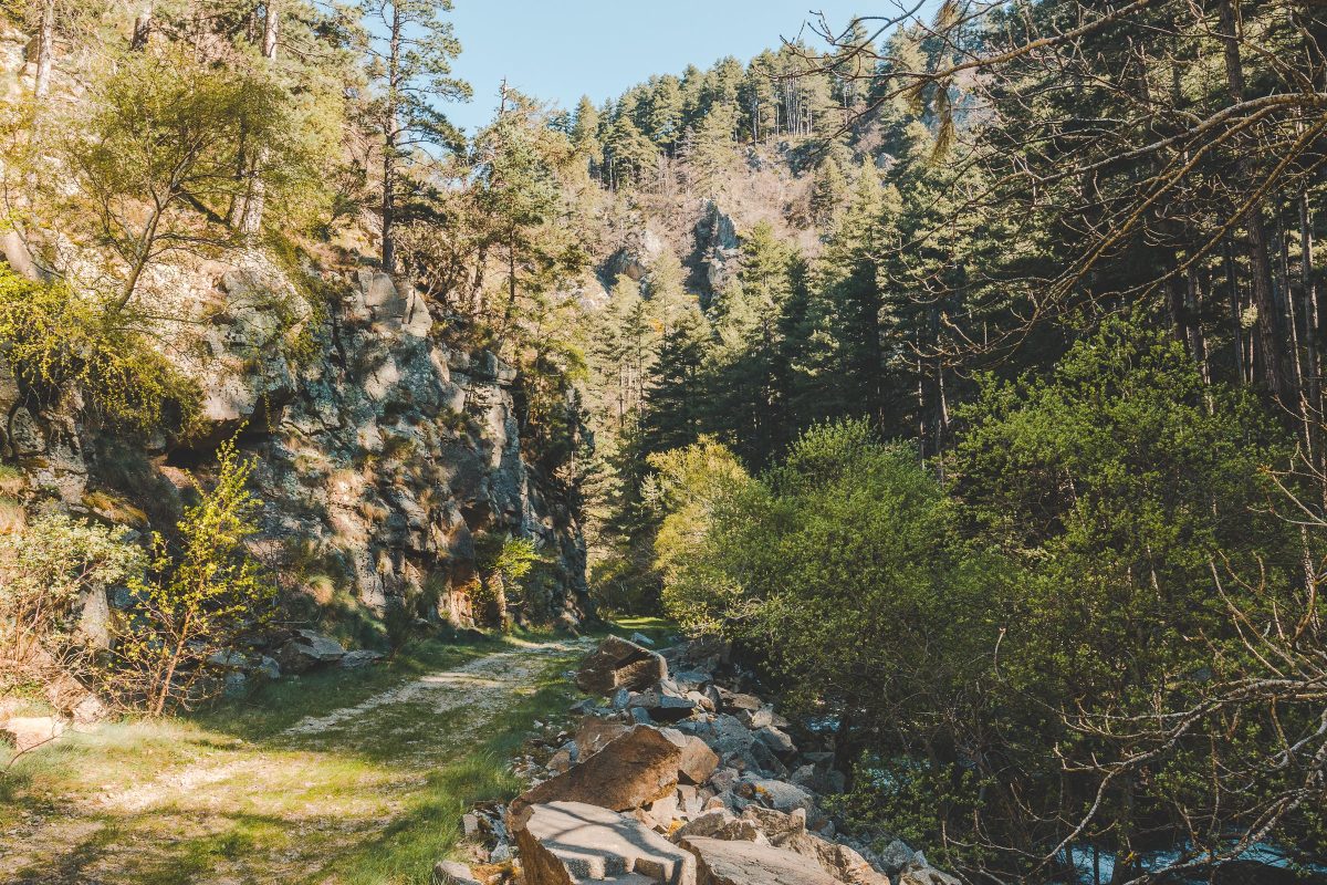 GORGES DU BRAMONT