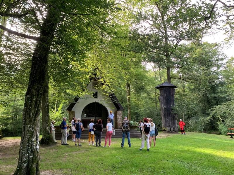 Le site du Gros-Chêne