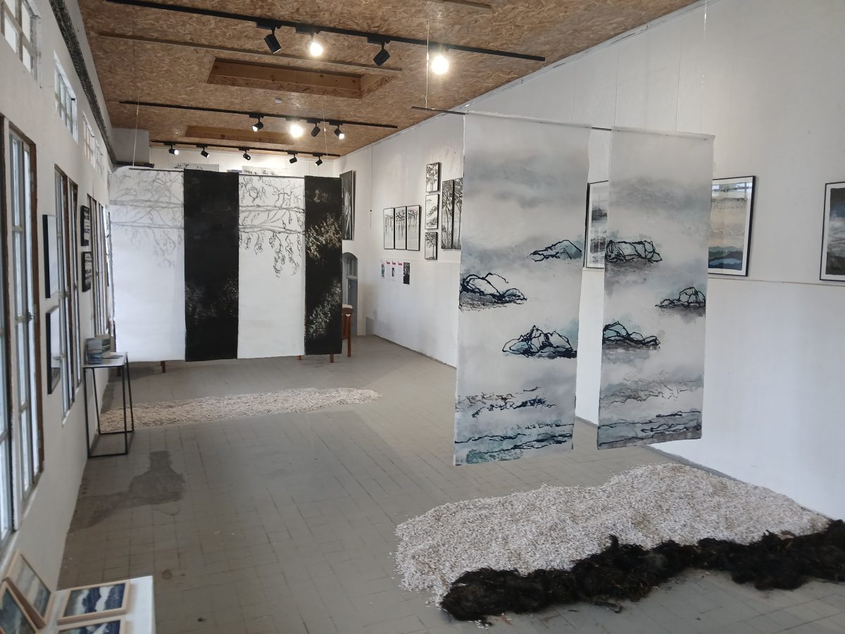 Galerie d'Art La Corbata Rosa
