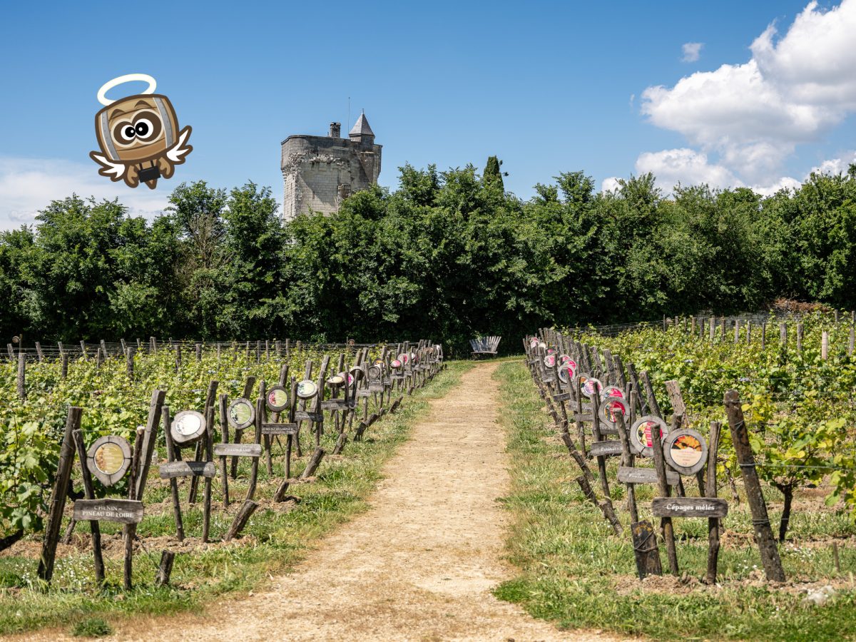 Tèrra Aventura : Les Raisins de la Folie