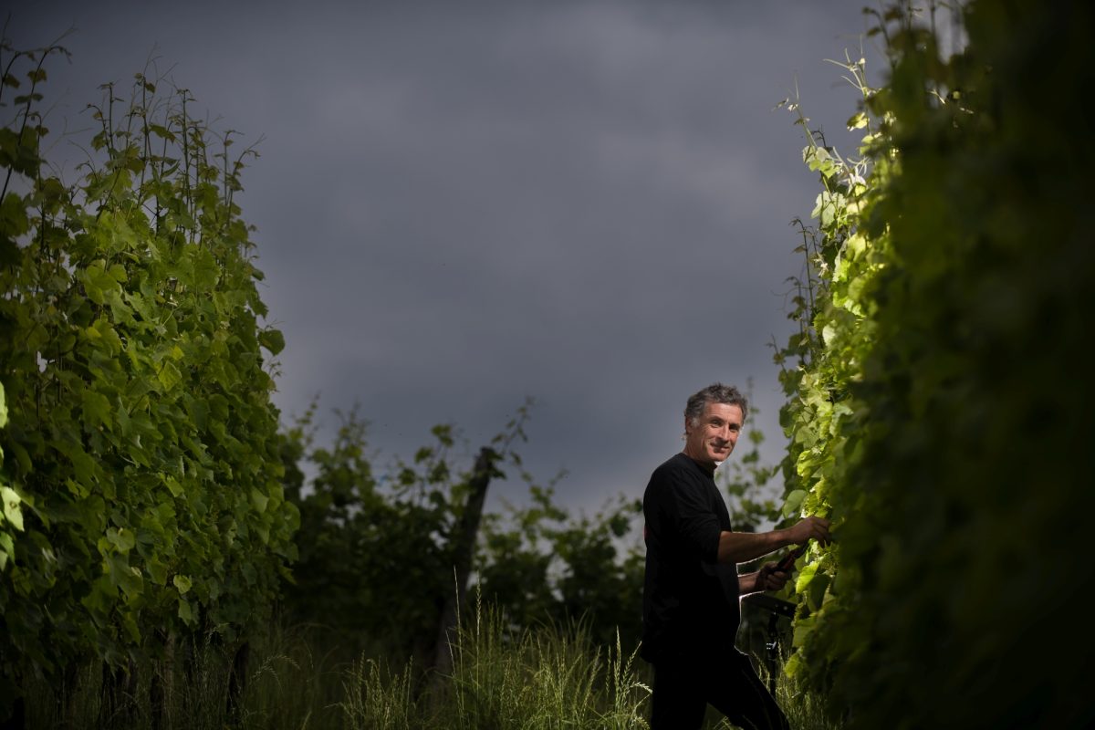 Domaine Tinou