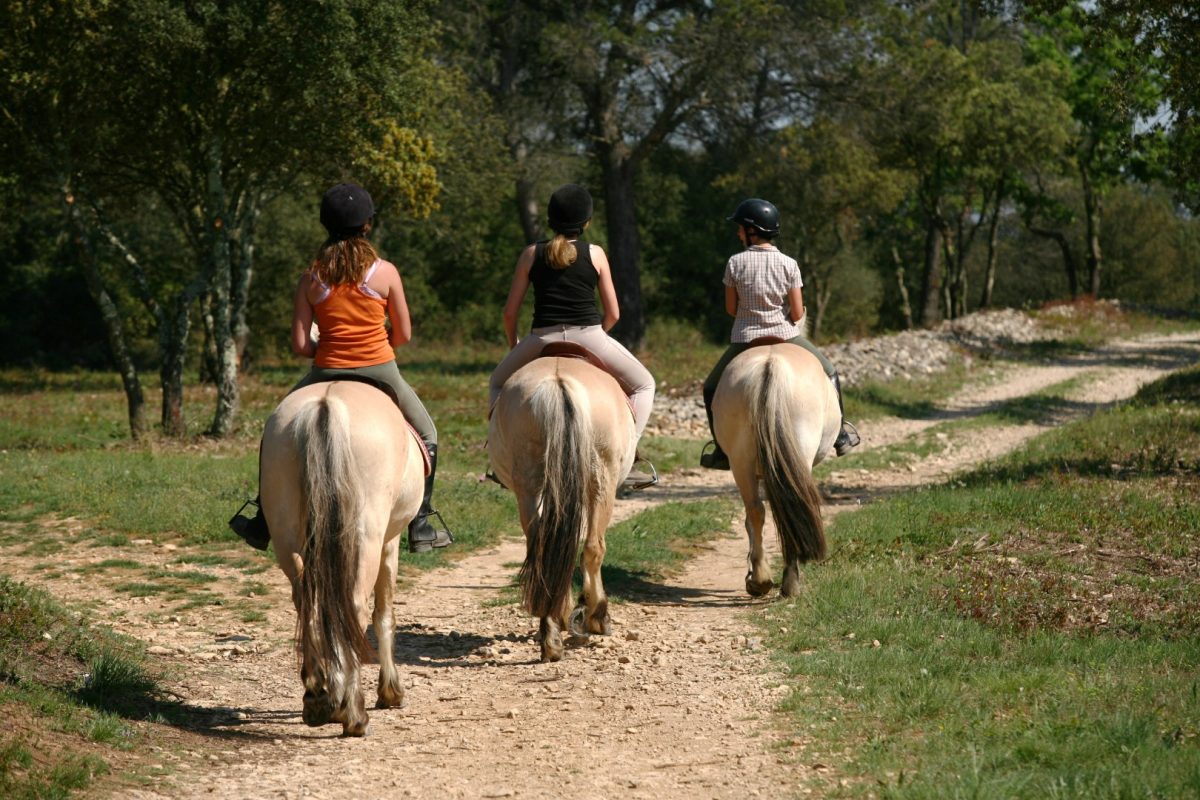 Centre équestre Equi-Loisir