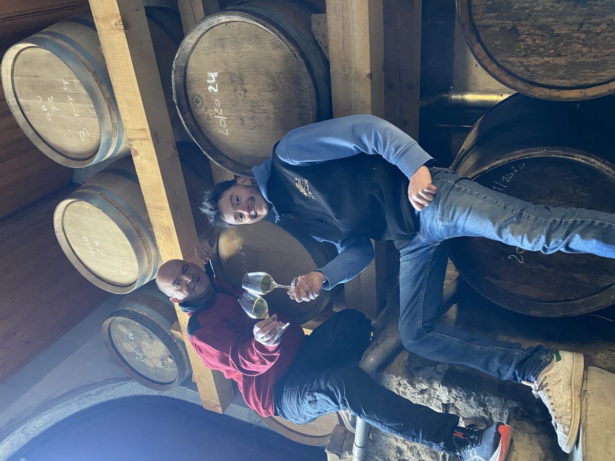 Domaine Vapillon