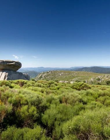 VISITE EXPRESS SPÉCIALE LOZÈRE