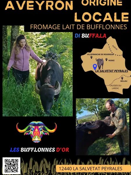 Les Bufflones d'Or