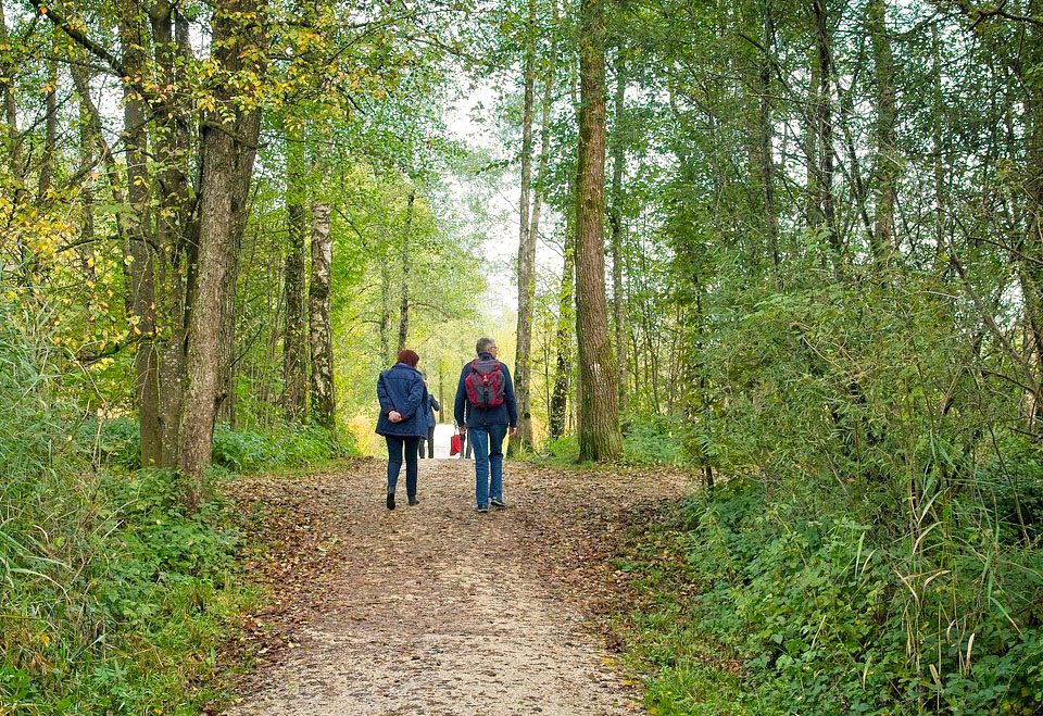 Chemins de Terre de Harrisson Barker en Forêt de Double