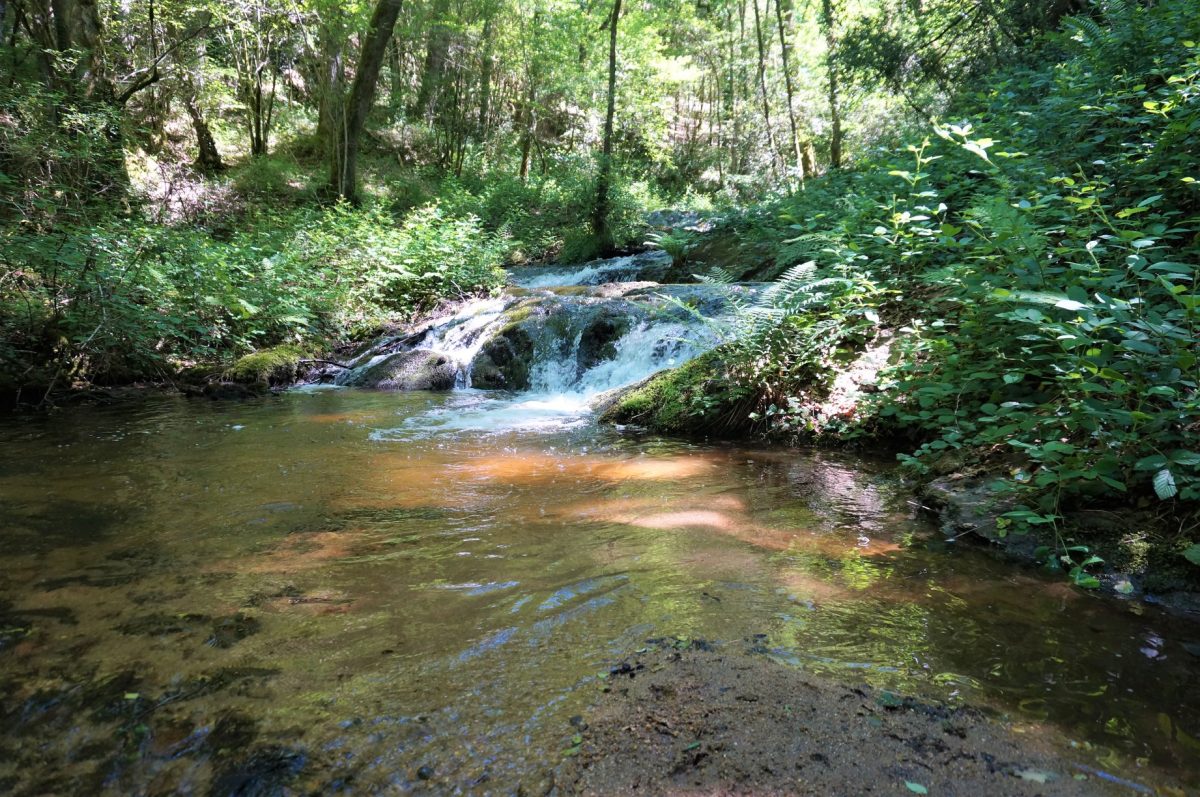 Cascades du Chalard