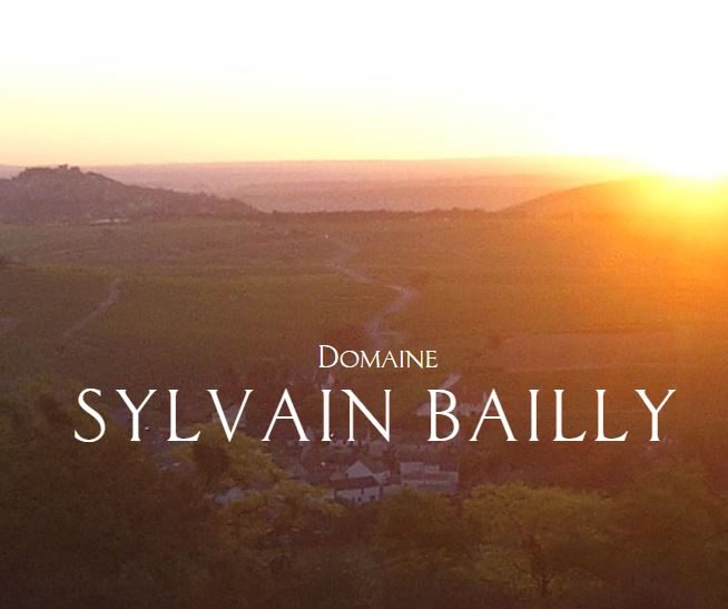 Domaine Sylvain Bailly - La Croix Saint-Ursain